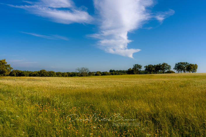 Ribatejo na Primavera 1-3