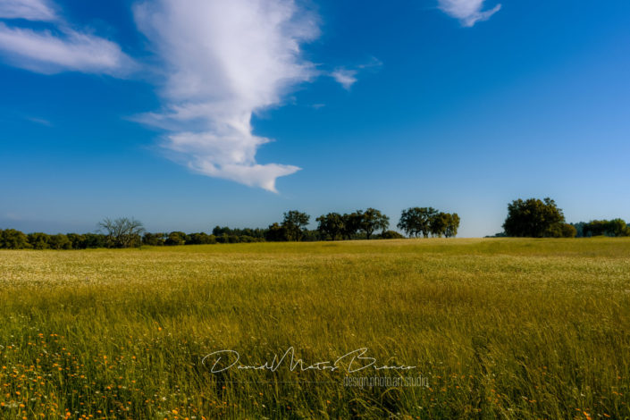 Ribatejo na Primavera 2-3