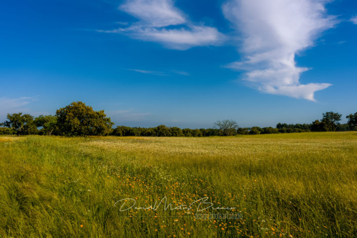 Ribatejo na Primavera 3-3