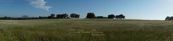 Em Maio pelo Ribatejo