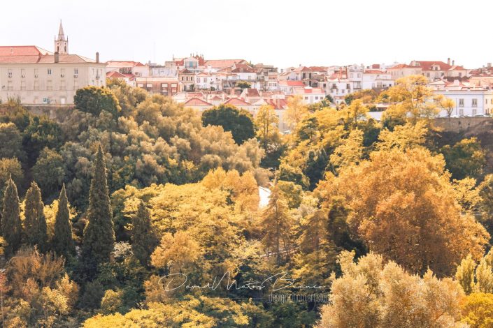 Vista Sobre Santarém