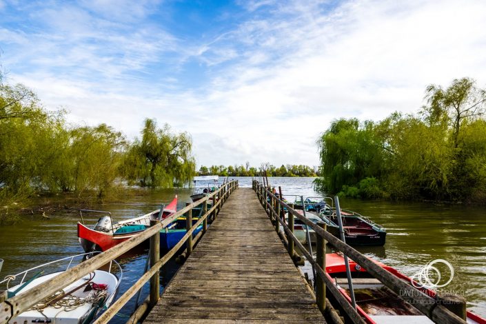 Aldeia Avieira da Palhota, Cartaxo