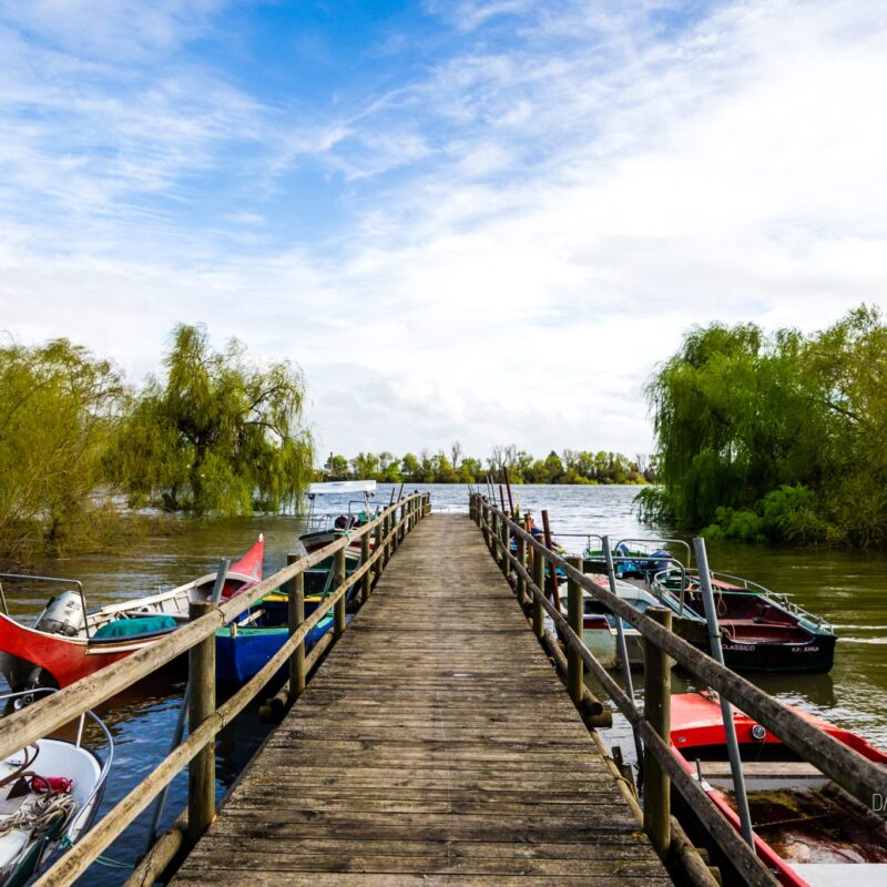Aldeia Avieira da Palhota, Cartaxo