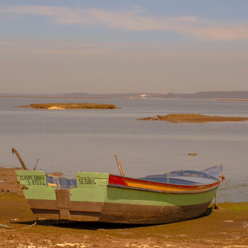 Carrasqueira